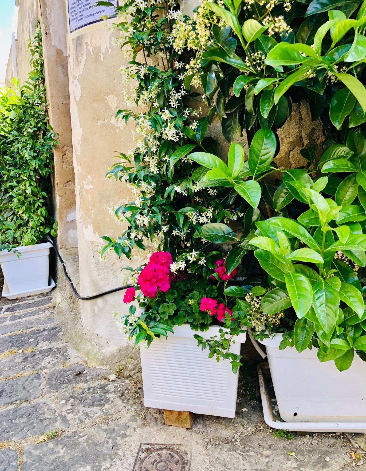 A Casa Da Anita Villa Palazzolo Acreide Exterior foto